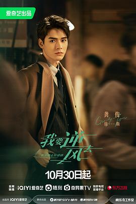 惠州seo优化系统